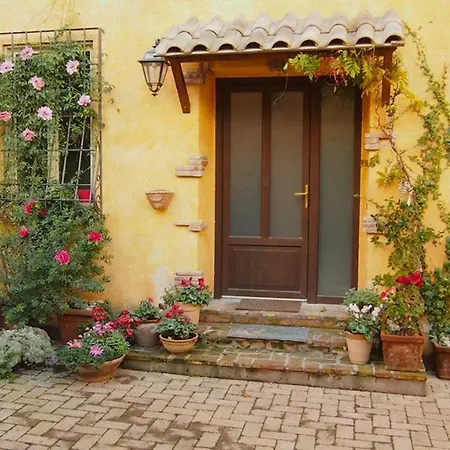 La Piazzetta Di *